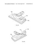 STEAM CLEANING DEVICES AND COMPOSITIONS FOR USE THEREWITH diagram and image