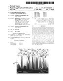 SCREEN PRINTING ELECTRICAL CONTACTS TO NANOWIRE AREAS diagram and image