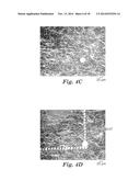 LASER PATTERNING OF SILVER NANOWIRE - BASED TRANSPARENT ELECTRICALLY     CONDUCTING COATINGS diagram and image