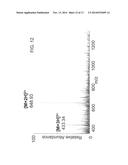 IONIZATION AT INTERMEDIATE PRESSURE FOR ATMOSPHERIC PRESSURE IONIZATION     MASS SPECTROMETERS diagram and image