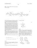 DIKETOPYRROLOPYRROLE POLYMERS FOR USE IN ORGANIC SEMICONDUCTOR DEVICES diagram and image