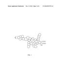 CONDUCTIVE MEMBER, IMAGE FORMING APPARATUS, CONDUCTIVE PARTICLE AND METHOD     FOR MANUFACTURING THE SAME diagram and image