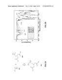 PURE METAL AND CERAMIC NANOFIBERS diagram and image