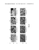 PURE METAL AND CERAMIC NANOFIBERS diagram and image