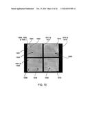 OLED LIGHTING DEVICE WITH SHORT TOLERANT STRUCTURE diagram and image