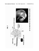 STEREOSCOPIC DISPLAY SYSTEM diagram and image