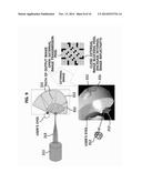 STEREOSCOPIC DISPLAY SYSTEM diagram and image