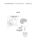 STEREOSCOPIC DISPLAY SYSTEM diagram and image