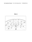 STEREOSCOPIC DISPLAY SYSTEM diagram and image