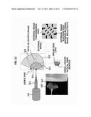 STEREOSCOPIC DISPLAY SYSTEM diagram and image