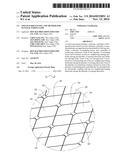 TOUCH SCREEN PANEL AND METHOD FOR MANUFACTURING SAME diagram and image