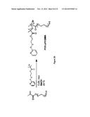 bFGF-POLYMER CONJUGATES, METHODS FOR MAKING THE SAME AND APPLICATIONS     THEREOF diagram and image