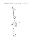 bFGF-POLYMER CONJUGATES, METHODS FOR MAKING THE SAME AND APPLICATIONS     THEREOF diagram and image