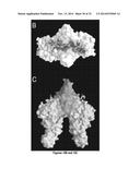 bFGF-POLYMER CONJUGATES, METHODS FOR MAKING THE SAME AND APPLICATIONS     THEREOF diagram and image