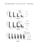 bFGF-POLYMER CONJUGATES, METHODS FOR MAKING THE SAME AND APPLICATIONS     THEREOF diagram and image