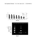 bFGF-POLYMER CONJUGATES, METHODS FOR MAKING THE SAME AND APPLICATIONS     THEREOF diagram and image