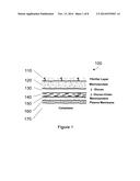 DRUG DELIVERY PRODUCT AND METHODS diagram and image