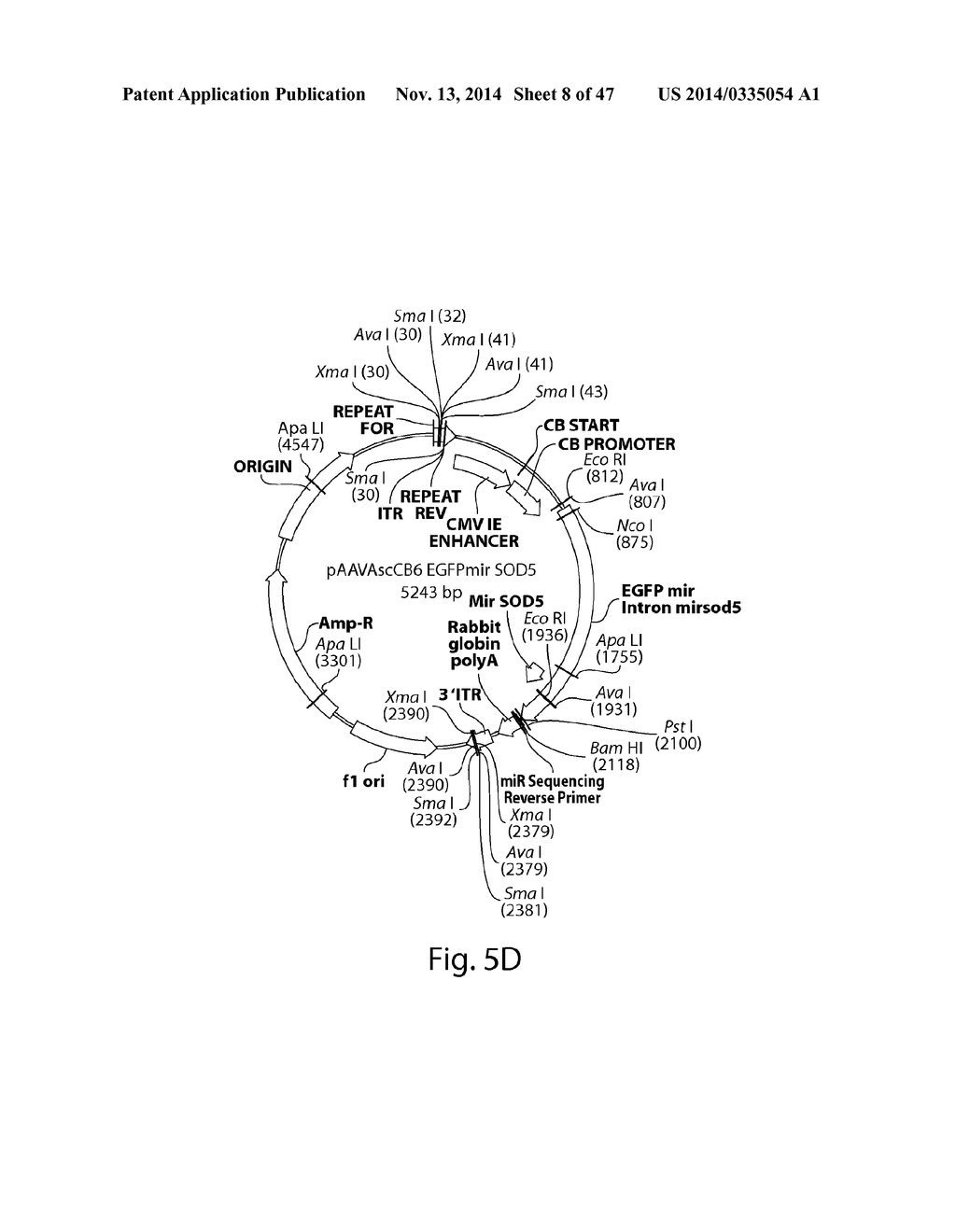 CNS TARGETING AAV VECTORS AND METHODS OF USE THEREOF - diagram, schematic, and image 09