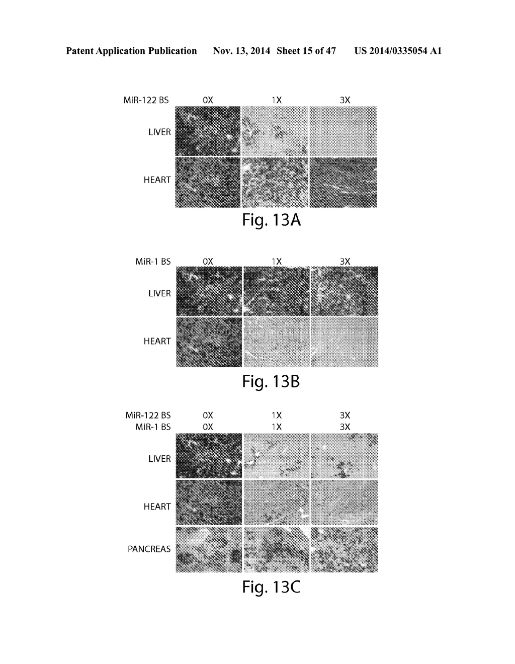 CNS TARGETING AAV VECTORS AND METHODS OF USE THEREOF - diagram, schematic, and image 16