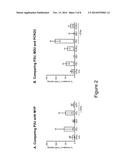 DELIVERY METHODS AND COMPOSITIONS FOR NUCLEASE-MEDIATED GENOME ENGINEERING diagram and image