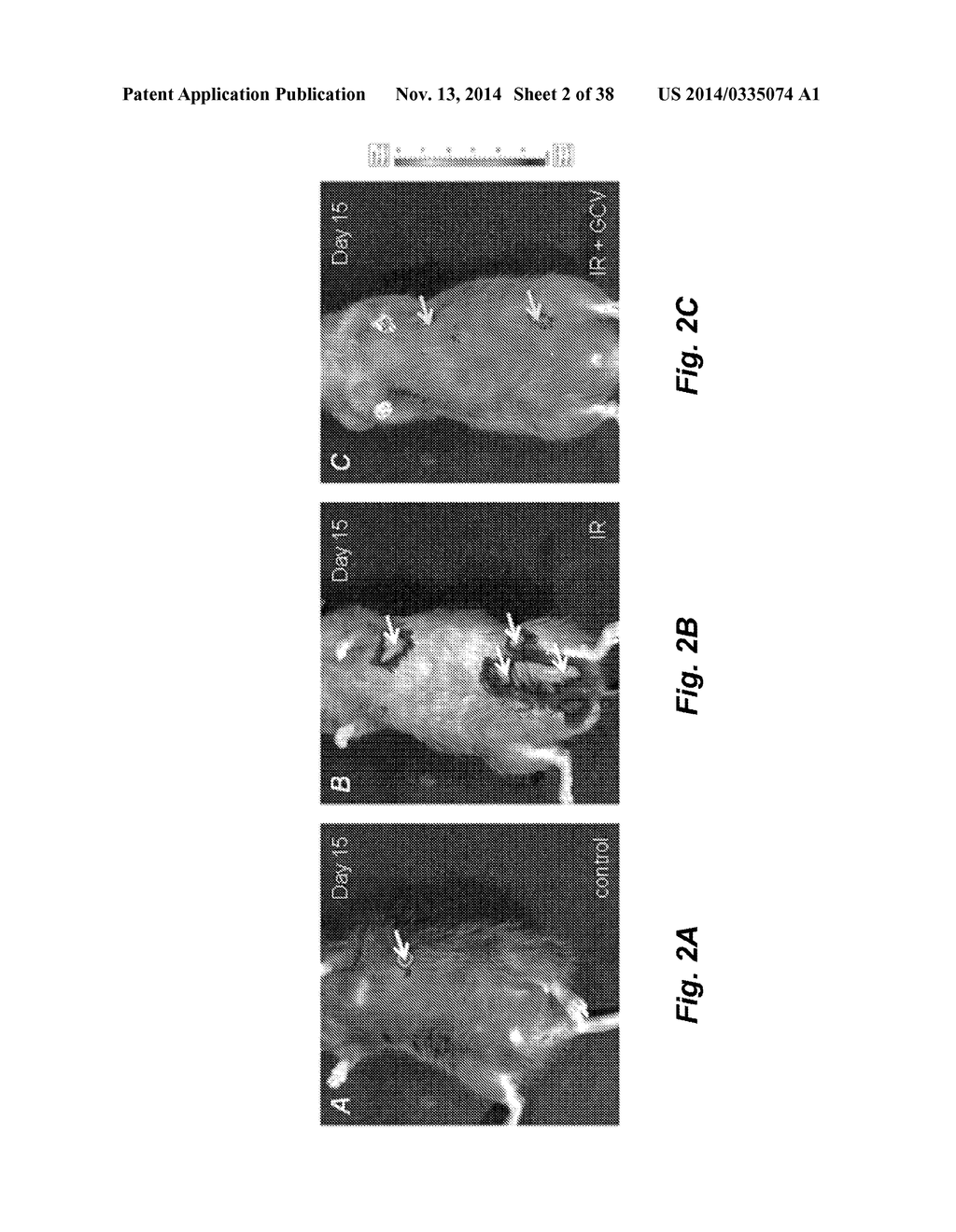 METHODS FOR IMPROVING MEDICAL THERAPIES - diagram, schematic, and image 03