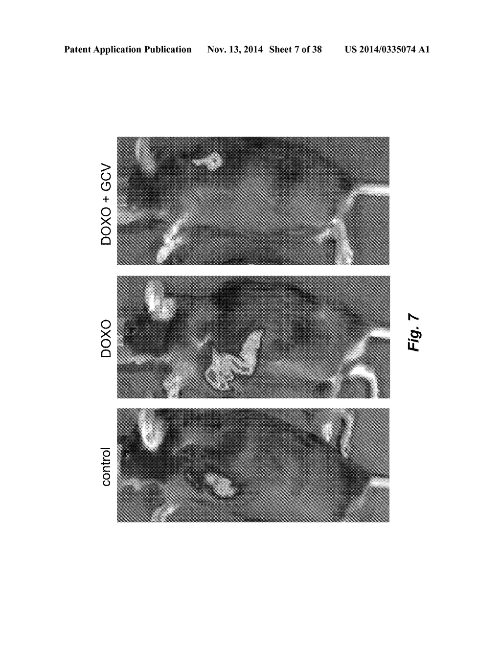 METHODS FOR IMPROVING MEDICAL THERAPIES - diagram, schematic, and image 08