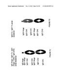 IMMUNOGLOBULIN CONSTANT REGION FC RECEPTOR BINDING AGENTS diagram and image