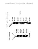 IMMUNOGLOBULIN CONSTANT REGION FC RECEPTOR BINDING AGENTS diagram and image