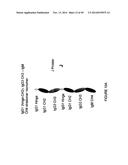 IMMUNOGLOBULIN CONSTANT REGION FC RECEPTOR BINDING AGENTS diagram and image