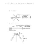 IMMUNOGLOBULIN CONSTANT REGION FC RECEPTOR BINDING AGENTS diagram and image