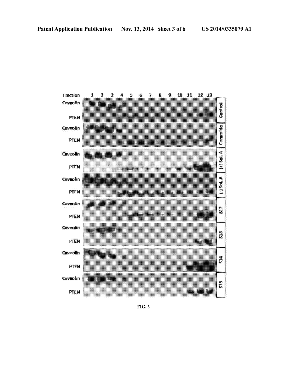 SOLENOPSIN AND DERIVATIVES, THERAPEUTIC COMPOSITIONS, AND METHODS RELATED     THERETO - diagram, schematic, and image 04