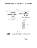 UTILITY OF INSULIN-LIKE 6 (INSL6) FOR THE TREATMENT OF AUTOIMMUNE DISEASES diagram and image