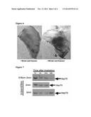 LASER-BASED VACCINE ADJUVANTS diagram and image