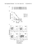 POLYPEPTIDE DERIVED FROM gp41, A VACCINE COMPOSITION COMPRISING SAID     POLYPEPTIDE, AND USES FOR TREATING AN INFECTION BY AN HIV VIRUS IN AN     INDIVIDUAL diagram and image