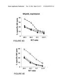 POLYPEPTIDE DERIVED FROM gp41, A VACCINE COMPOSITION COMPRISING SAID     POLYPEPTIDE, AND USES FOR TREATING AN INFECTION BY AN HIV VIRUS IN AN     INDIVIDUAL diagram and image