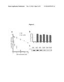 ATTENUATED AND ADAPTED STRAIN OF PSEUDOMONAS FOR DELIVERING ANTIGENS diagram and image