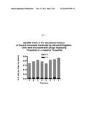 INTESTINAL PEPTIDE TARGETING LIGANDS diagram and image