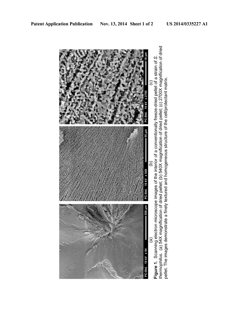 PROCESS - diagram, schematic, and image 02