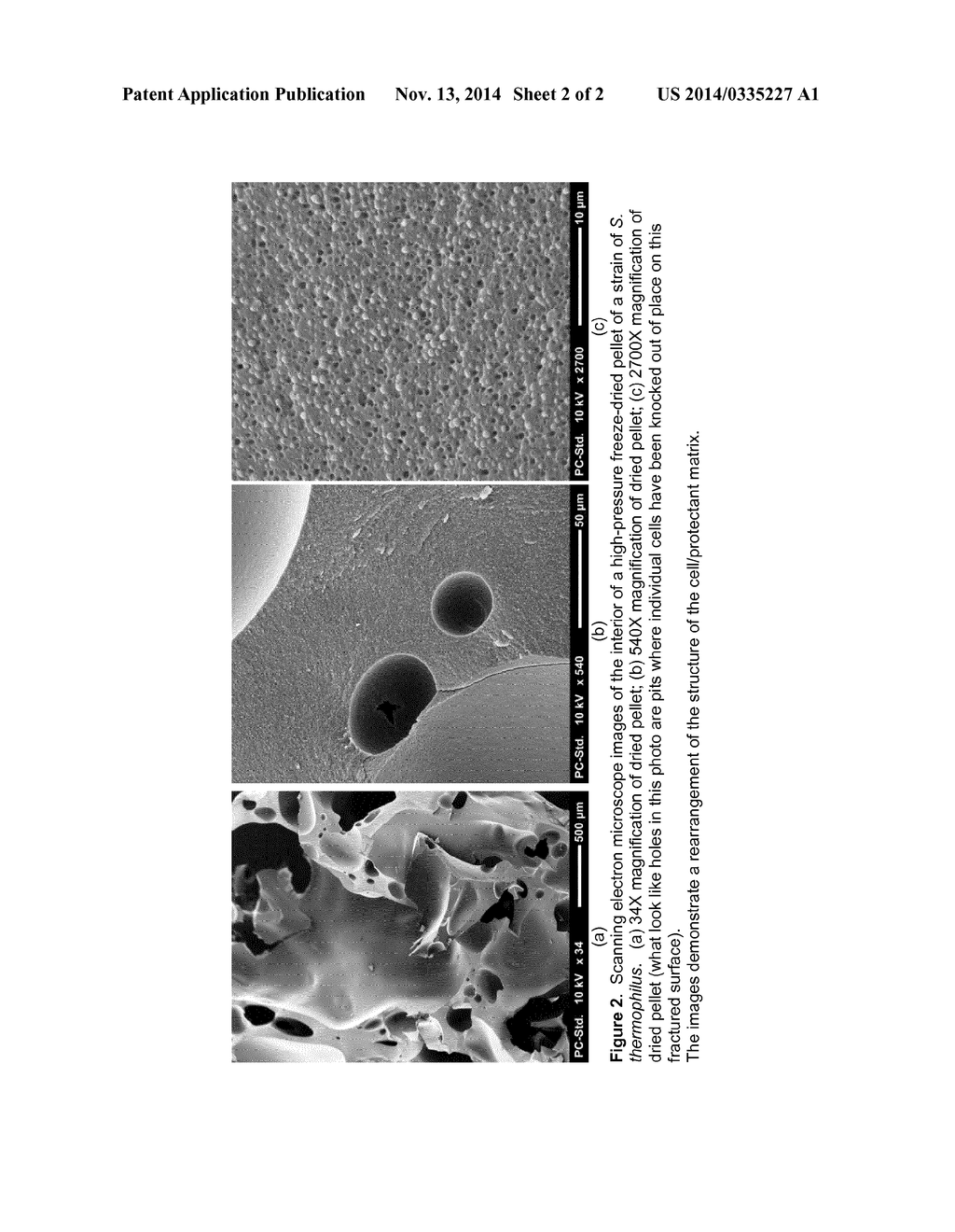 PROCESS - diagram, schematic, and image 03