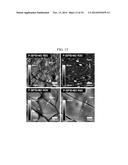 POLYMER ION EXCHANGE MEMBRANE AND METHOD OF PREPARING SAME diagram and image