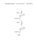 Method of Determining the Nucleotide Sequence of Oligonucleotides and DNA     Molecules diagram and image