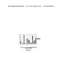 Method of Determining the Nucleotide Sequence of Oligonucleotides and DNA     Molecules diagram and image