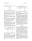 QUANTIFICATION OF RESIDUAL HOST CELL DNA BY REAL-TIME QUANTITATIVE PCR diagram and image