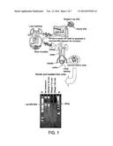 METHOD OF TUMOR SCREENING diagram and image