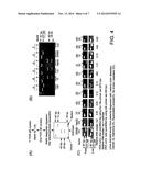 METHOD OF TUMOR SCREENING diagram and image