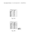 HUMAN SKIN SAMPLE METHODS AND MODELS FOR VALIDATING HYPOTHESES FOR     MECHANISMS DRIVING SKIN PIGMENTATION diagram and image