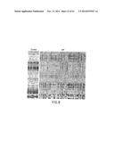 Marker Panels For Idiopathic Pulmonary Fibrosis Diagnosis And Evaluation diagram and image