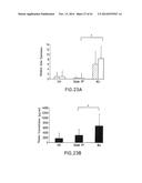 Marker Panels For Idiopathic Pulmonary Fibrosis Diagnosis And Evaluation diagram and image