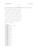 Polypeptides Having Xylanase Activity and Polynucleotides Encoding Same diagram and image