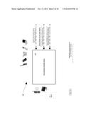 Dynamic Point to Point Mobile Network System and Method diagram and image